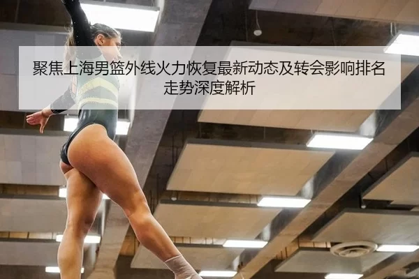 聚焦上海男篮外线火力恢复最新动态及转会影响排名走势深度解析