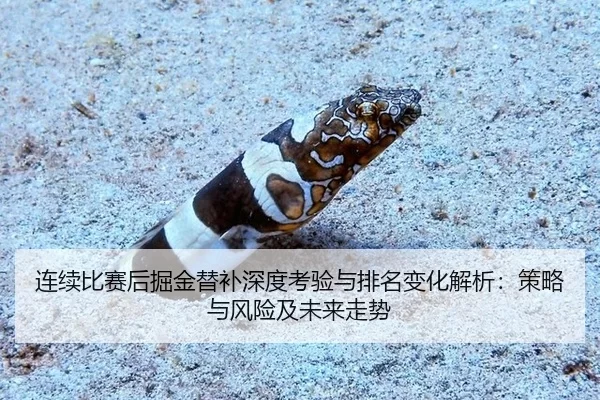 连续比赛后掘金替补深度考验与排名变化解析：策略与风险及未来走势